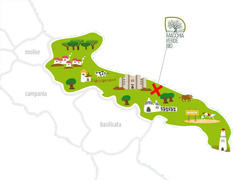 Bio Olivenöl kaufen direkt vom Hersteller | Aus Italien Testsieger